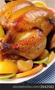 Baked chicken with slices of orange, lime, tangerine and cranberry