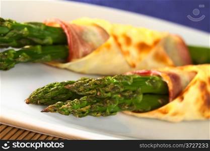 Baked green asparagus wrapped in bacon and wonton dough (Selective Focus, Focus on the asparagus tips in the front). Baked Green Asparagus
