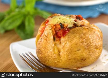Baked potato with tomato filling and cheese on top (Selective Focus, Focus on the front of potato). Baked Potato