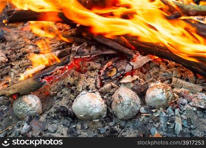 Baked potatoes wrapped with aluminum foil roasting in a bonfire.