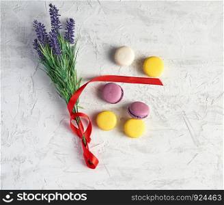 baked round macarons and lavender branch on a white background, top view