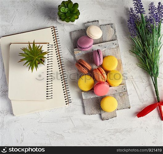 baked round multi-colored pasta on a wooden board, stack of spiral notebooks, next to green plants in white ceramic pots, top view, workplace