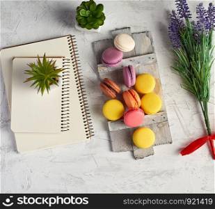 baked round multi-colored pasta on a wooden board, stack of spiral notebooks, next to green plants in white ceramic pots, top view, workplace