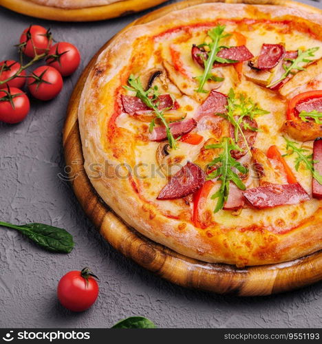 Baked round pizza made with salami, tomatoes and mushrooms