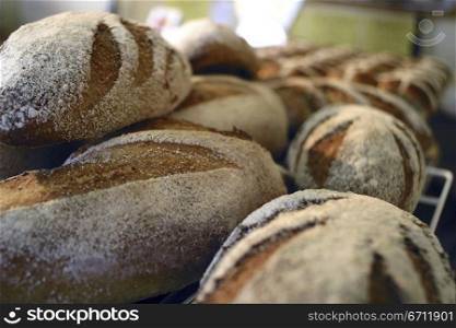 Baker&acute;s bread