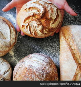 Baker or cooking chef holding fresh baked bread and breaking it in hands. Concept of cooking, successful businessman or start up. Assortment of fresh bread on black background