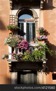 Balcony and Flowers