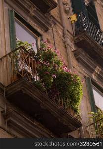 Balcony with flowers in Naples