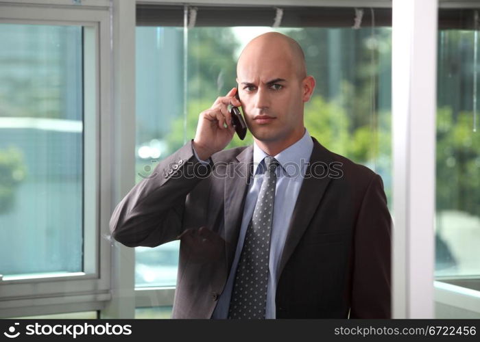 Bald businessman stood in conservatory