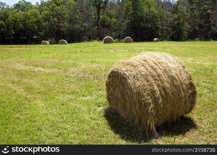 Bale of hay and grass