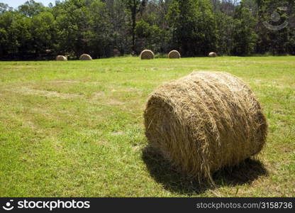 Bale of hay and grass