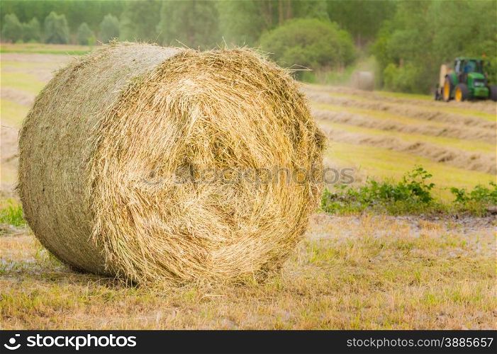 Bale of hay drying in the sun.