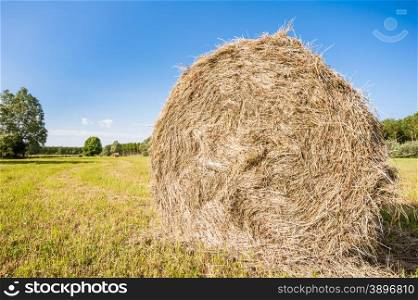 Bale of hay drying in the sun.