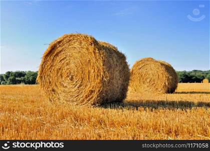 bale of hay in a field under blue sky