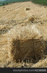 Bale of straw and harvested field .