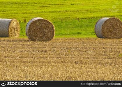 bale of straw with a meadow. grain harvest