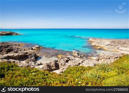 Balearic Formentera island in Escalo beach mediterranean turquoise sea