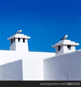 Balearic Mediterranean white houses with seagull in chimneys