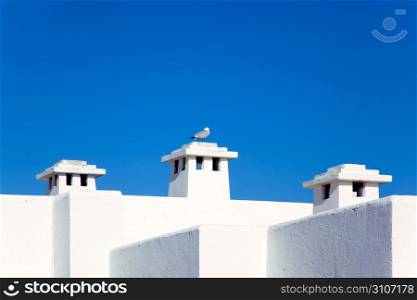 Balearic Mediterranean white houses with seagull in chimneys