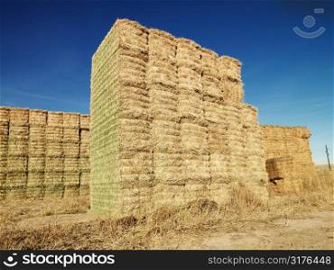 Bales of hay in rural setting.