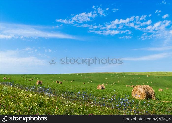 Bales of hay on green grass against a blue sky.. Bales of hay on green grass against a blue sky