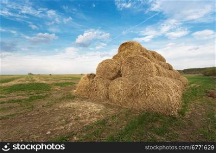 Bales of hay on the farm field, evening rural landscape