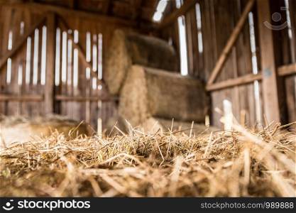 Bales of hay/straw on a farm, countryside, indoors