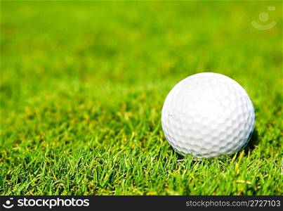 Ball for a golf on a grass...