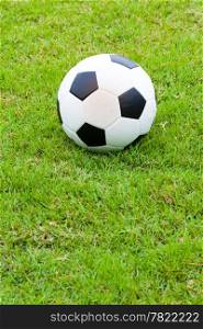 ball on grass. Black and white ball is placed on the football field.
