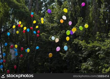 balloons in the sky against trees, the last call school