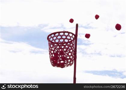 Balls and net