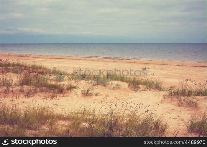 Baltic sea coast