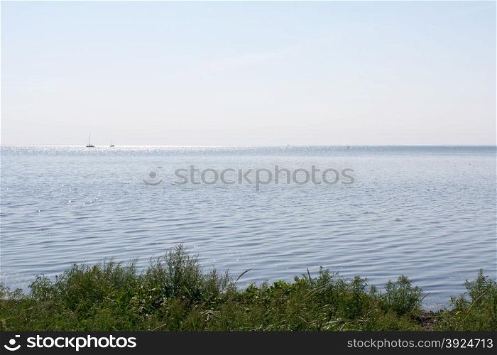 Baltic sea landscape. Baltic sea seascape and landscape in a gray tone with sail boats