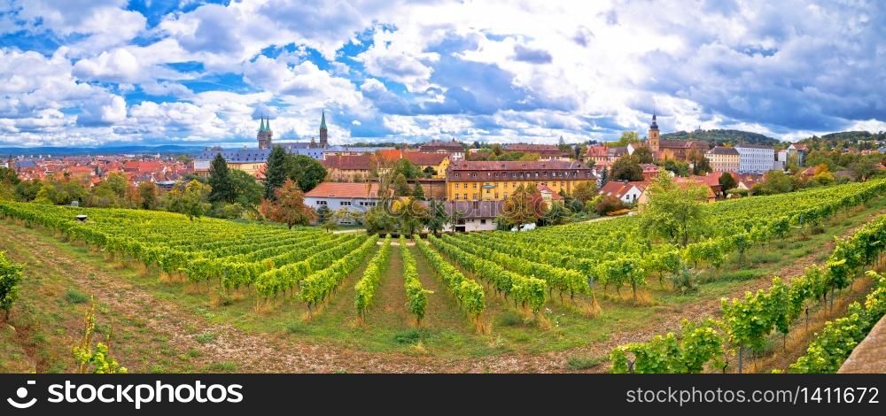 Bamberg. Town of Bamberg panoramic view from Michaelsberg vineyards, Upper Franconia, Bavaria region of Germany