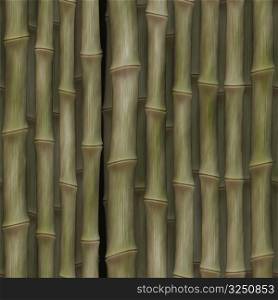 Bamboo 05