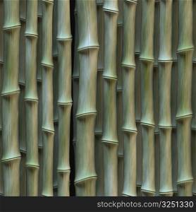Bamboo 06
