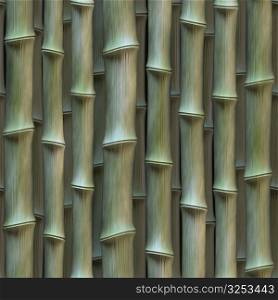 Bamboo 09