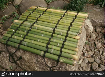 Bamboo