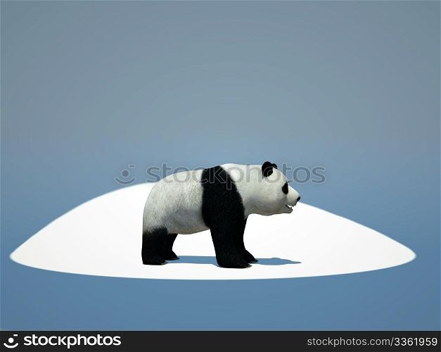 bamboo bear on white background