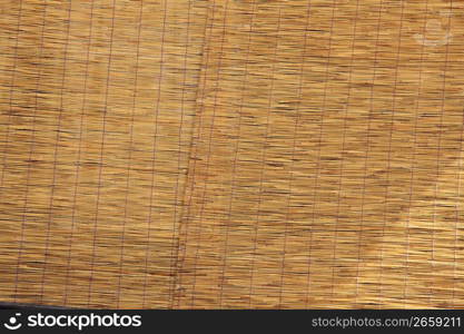 Bamboo blind