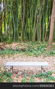 Bamboo botanical garden. Useful concept for zen, environment and green life.