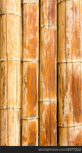 Bamboo cane pattern texture background in brown color