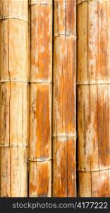 Bamboo cane pattern texture background in brown color