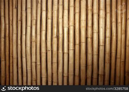 Bamboo cane row arrangement background pattern
