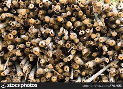 Bamboo cross section surface background