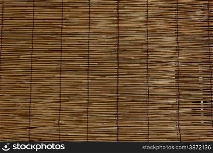 Bamboo Curtain