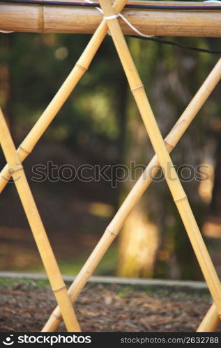 Bamboo fence