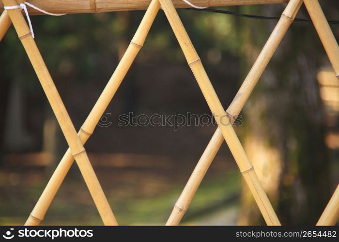 Bamboo fence