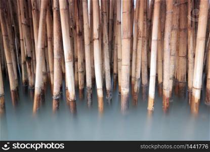 bamboo fence protect sandbank from sea wave