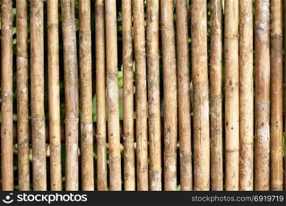 bamboo Fence texture background